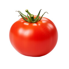 tomato on white background