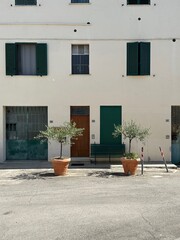 Traditional Italian Townhouse Facade with Green Shutters and Potted Olive Trees