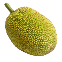Fresh whole jackfruit isolated on white background