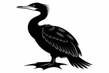 cormorant sihouette black vector