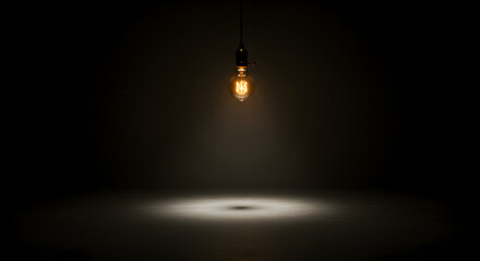 Illuminated Edison Bulb Hanging In a Dark And Empty Room