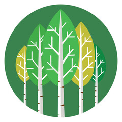 Birch trees icon on white background 