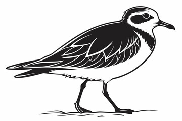 Fototapeta premium plover sihouette black vector