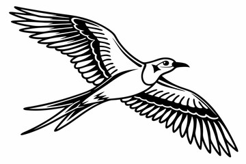 Fototapeta premium plover sihouette black vector