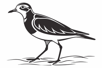 Fototapeta premium plover sihouette black vector