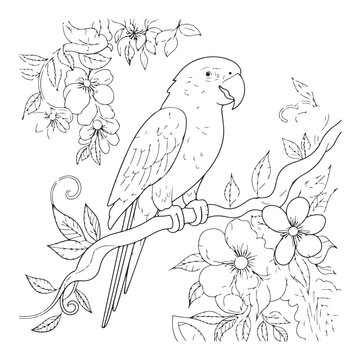 Whimsical line drawing of a parrot with leaves and flowers, offering a peaceful and detailed coloring activity.