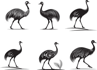 Emu vector birds