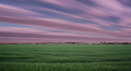 Magenta Horizon Over Verdant Field With Distant Urban Scenery