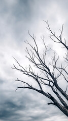 Obraz premium bare tree standing against dramatic cloudy sky photographed from low angle emphasizing twisted branches rough texture conveying solitude resilience stark natural beauty and atmospheric melancholic moo