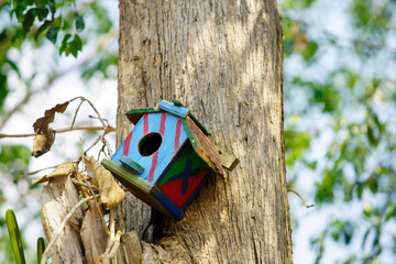 Colorful Hand-Painted Birdhouse Mounted on Tree Trunk Outdoors