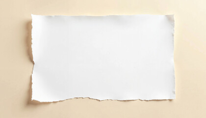 Torn Paper Effect for Black Friday on a Beige Background  