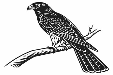 Obraz premium trogon sihouette black vector