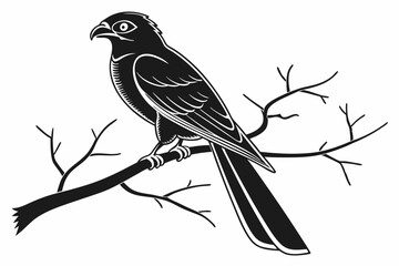 Fototapeta premium trogon sihouette black vector