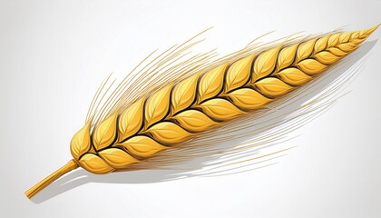 ear of wheat spikelet or white background