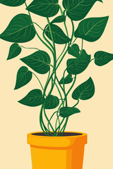 Green vine plants cascading from a bright yellow pot.