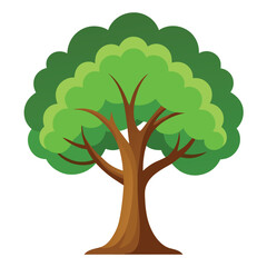Elm trees icon on white background 