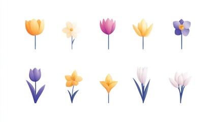 Colorful spring flower bloom collection set, flat design isolated, web design use