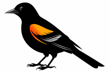 Obraz premium oriole sihouette black vector
