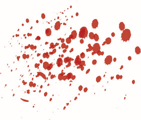 blood drop on white background