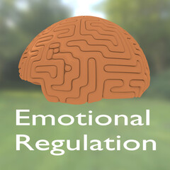 Emotional Regulation concept