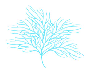 Branched blue coral. Watercolor and marker illustrations. Ocean coral reefs, underwater animals of the seabed. Hand drawn isolated art. Exotic nature plants for guidebooks, children's design