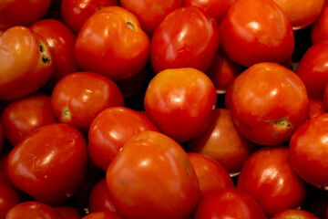red tomatoes at the market