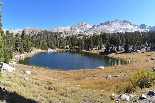 High-altitude alpine lake nestled amongst pine trees and mountains under a clear sky  A tranquil scene of autumnal colors, with snow-capped peaks in the distance