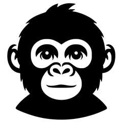 Silhouette portrait of a baby kingkong