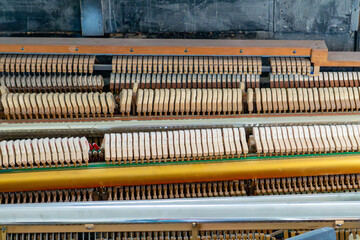 the inside of a grand or upright piano action—specifically, the hammer section. You can see rows of felt hammers lined up in a row, ready to strike the strings when you play. This close-up shows the i © Adam