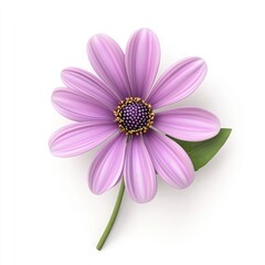 Fototapeta premium Single, delicate, light purple flower with green leaves.