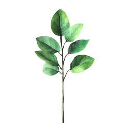 Close up green plant leaves photography