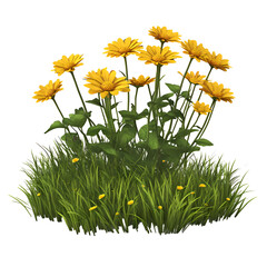 Close up yellow flowers and green leaves