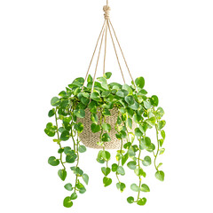 Closeup bright green plant specimen