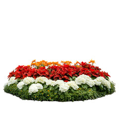 Closeup colorful sushi roll photo food photography