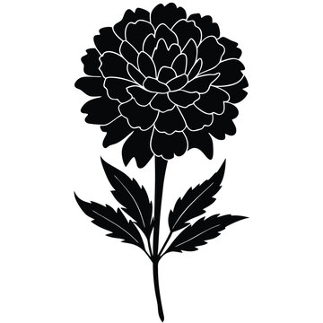 recommend clip art: fig marigold flower silhouette vector on white background 