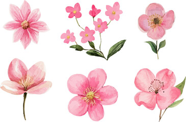 set of pink flowers