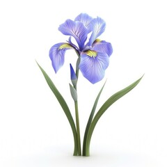 Stunning light purple iris flower with verdant leaves.