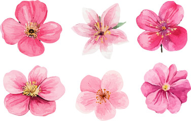 set of pink flowers