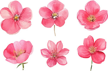 set of pink flowers