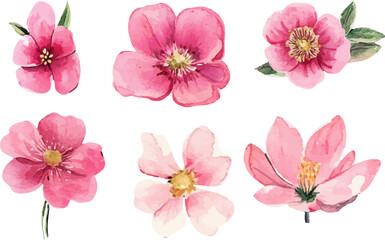 collage of pink flowers