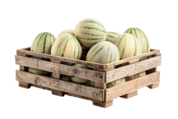 Large pattern grey green round fresh melon in brown wooden crate isolated on cut out PNG or transparent background. Typically found in supermarket placed. Packed fruit for sale in stores.