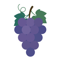 Classic Vineyard Grapes - Natural Purple Color Palette