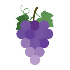 Classic Vineyard Grapes - Natural Purple Color Palette