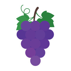 Classic Vineyard Grapes - Natural Purple Color Palette