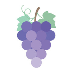 Classic Vineyard Grapes - Natural Purple Color Palette