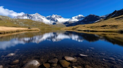 Serene alpine lake reflecting majestic peaks.  Crystal clear water mirroring snow-capped mountains.  Golden, sunny meadow surrounds tranquil scene