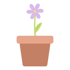 flower in pot