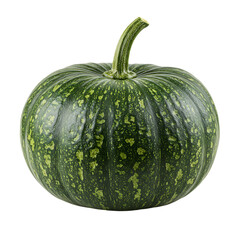 Delicious Green Pumpkin: A Vibrant Fall Harvest Vegetable