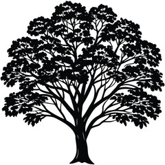 jacaranda trees icon on white background 