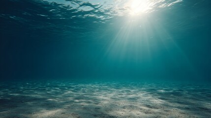 Gentle sun rays penetrate the serene ocean above, creating soothing blue tones over the ocean floor, inviting exploration in a peaceful aquatic environment